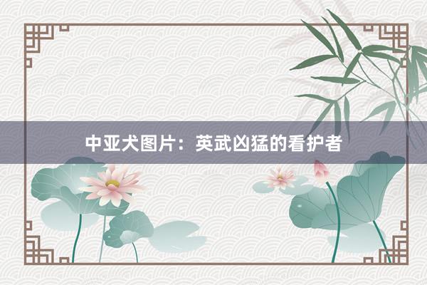 中亚犬图片：英武凶猛的看护者